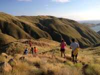 Adventure Moments in Komodo Island – Truly Unforgettable 🐉✨