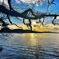Reflections and Ripples: Magic at Milarrochy Bay