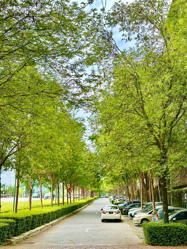🏙️🌳 Urban Retreat with Greenery – Tamarind Square