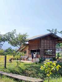 Chiang Mai ☕ Coffee Hopping – Café Gems in Nature