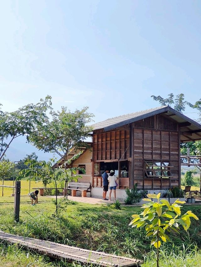 Chiang Mai ☕ Coffee Hopping – Café Gems in Nature