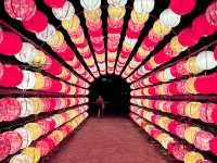 From Coastal Calm to Lantern Dreams: Da Nang & Hoi An
