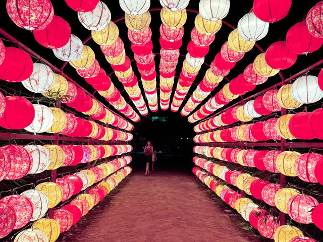 From Coastal Calm to Lantern Dreams: Da Nang & Hoi An