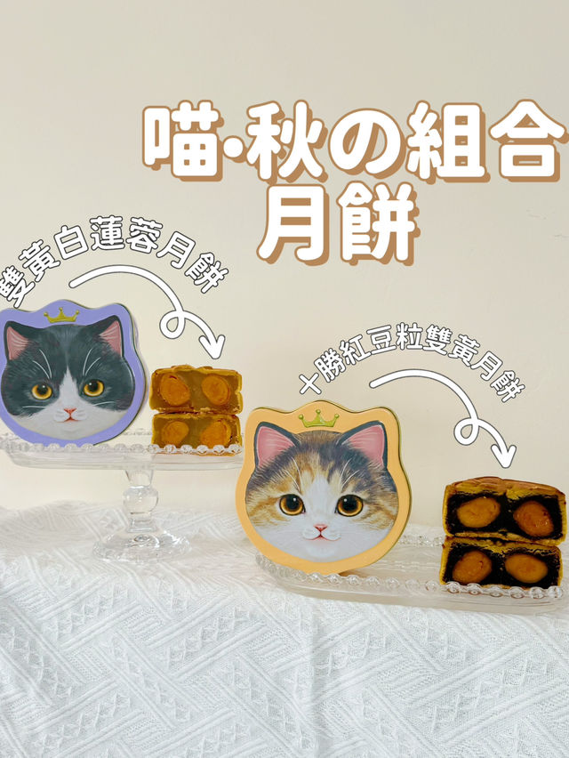 貓主子月餅粉嫩甜品首選🐾   貓主子月餅粉嫩甜品首選🐾