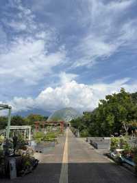 鳥取花迴廊🌸 大山腳下的夢幻花園