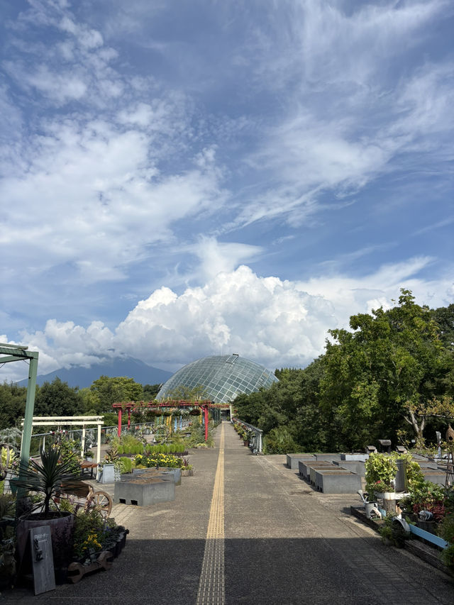 鳥取花迴廊🌸 大山腳下的夢幻花園