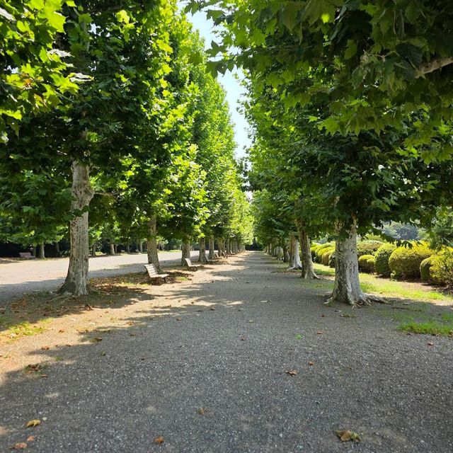 Shinjuku Gyoen