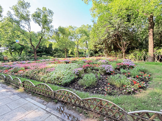 🌳【上海隱藏的“綠野仙蹤”!共青森林公園:城市中心的天然氧吧,隨手一拍就是森林大片!】🌳  🌳【上海隱藏的“綠野仙蹤”!共青森林公園:城市中心的天然氧吧,隨手一拍就是森林大片!】🌳