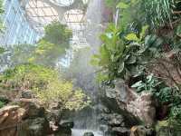 🌵【上海新地標！亞洲最大溫室花園「上海溫室花園」開放啦～沙漠雨林一次看夠，隨手一拍就是科幻大片！】🌵