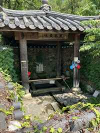 대숲 바람과 마루의 온도, 구례 쌍산재 산책