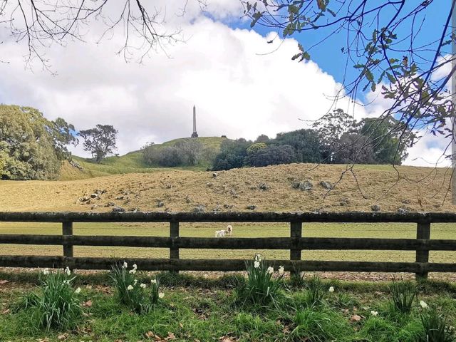 Cornwall Park & One Tree Hill 🌳
