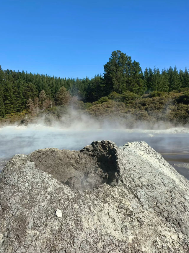 Hell’s Gate – Geothermal Wonder and Cultural Experience in New Zealand