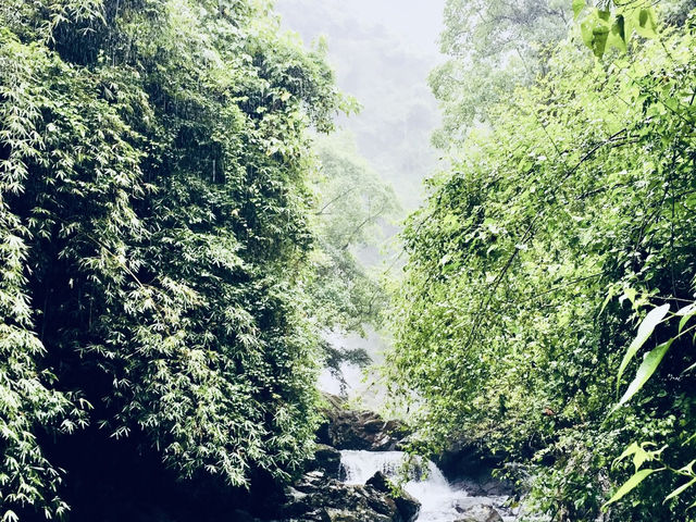 🌿「追隨水聲，一步步走進山林的心跳節奏。」