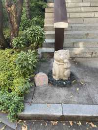 【東京都清澄白河🇯🇵雲光院】徳川家康公の側室阿茶局の菩提寺