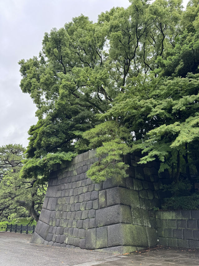 Summer in Tokyo🌤️