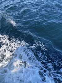 【東京湾に浮かぶ無人島🏝️猿島🐵】不思議な無人島体験レポ‼️