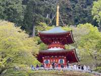 #勝尾寺