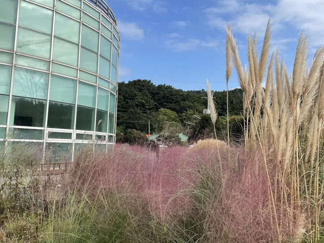 천리포수목원 천리포수목원