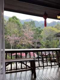 สัมผัสความสงบที่ บ้านอิงดอย แม่กำปอง เชียงใหม่ 🍃⛰️