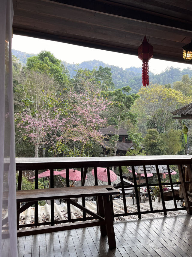 สัมผัสความสงบที่ บ้านอิงดอย แม่กำปอง เชียงใหม่ 🍃⛰️