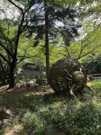 【大邱必訪秘境】前山公園纜車 × 雙觀景台 —— 在地人後花園，俯瞰全城最美全景！