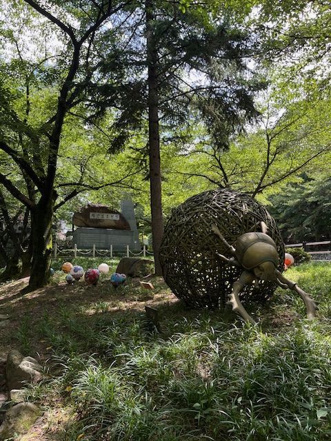 【大邱必訪秘境】前山公園纜車 × 雙觀景台 —— 在地人後花園，俯瞰全城最美全景！