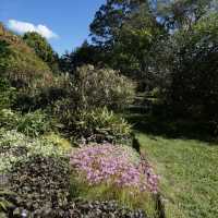 Ayrlies Garden and Wetlands