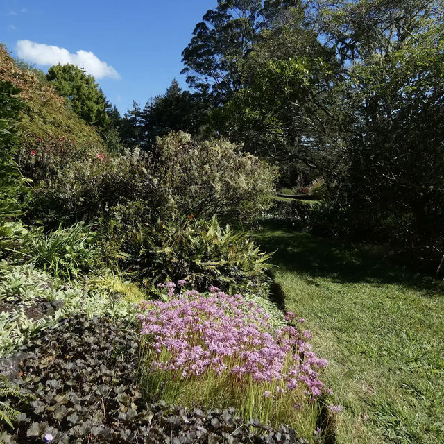 Ayrlies Garden and Wetlands
