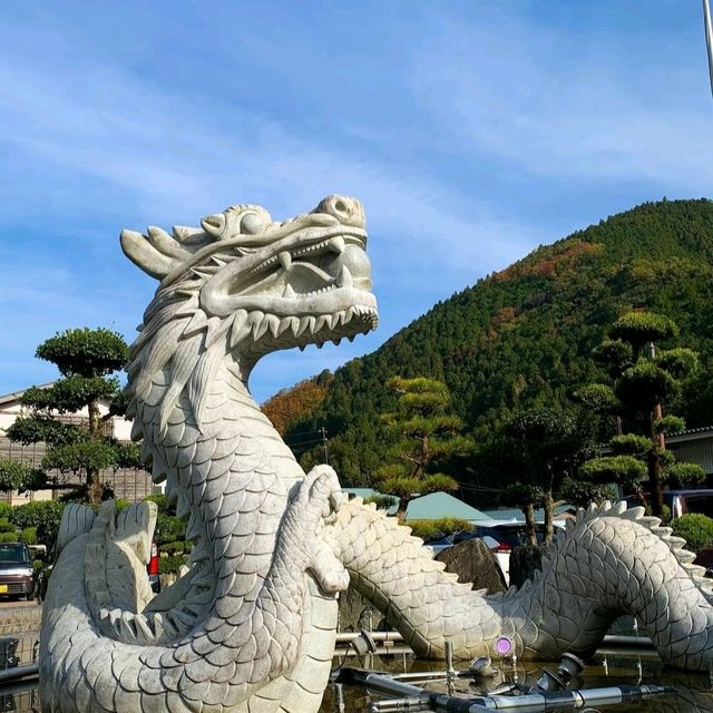 美肌を叶える「若返りの湯」龍神温泉徹底ガイド 美肌を叶える「若返りの湯」龍神温泉徹底ガイド