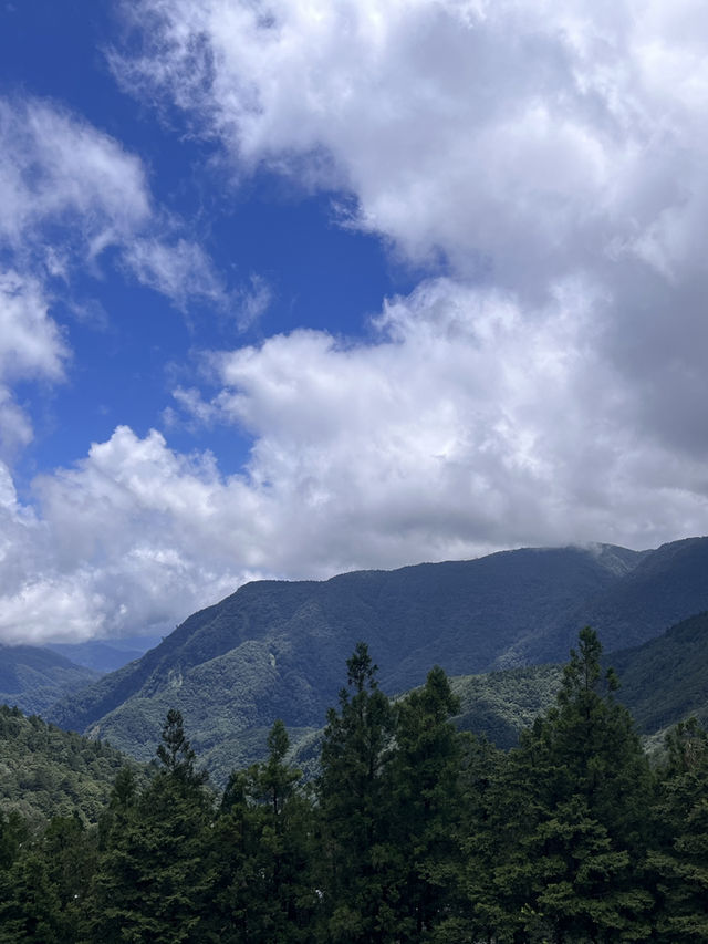 避暑勝地⛰️太平山與大自然的療癒時光