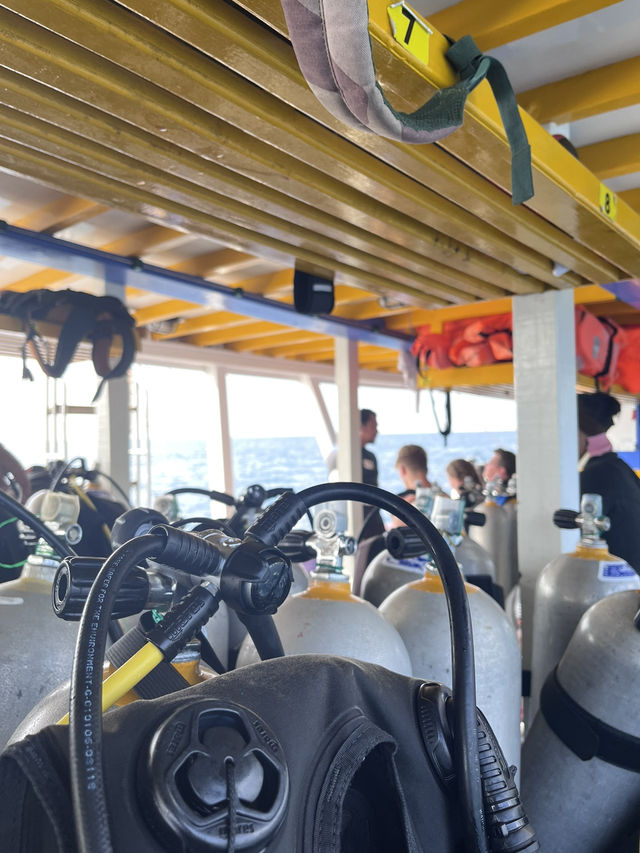 🐠 เรียนดำน้ำ Open Water ที่ Koh Tao, Thailand🇹🇭