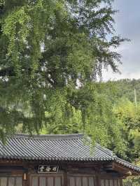🍃 전주에서 만나는 역사와 풍경의 하루 🌿