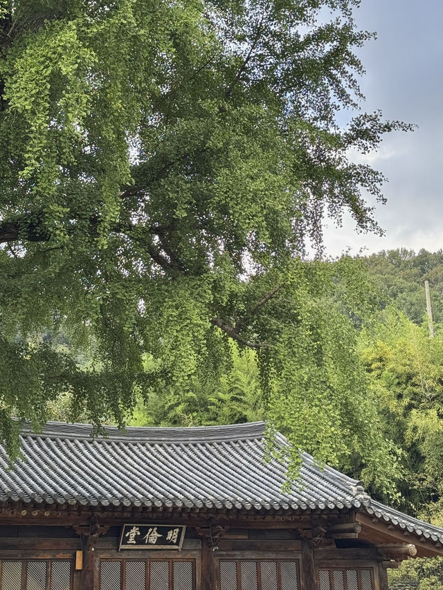 🍃 전주에서 만나는 역사와 풍경의 하루 🌿 🍃 전주에서 만나는 역사와 풍경의 하루 🌿