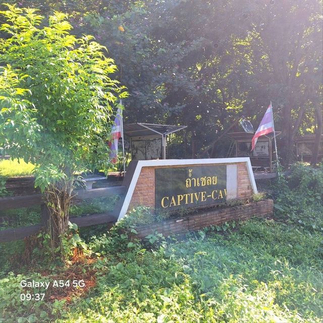 ทำเฉลยที่เต็มไปด้วยร่องรอยของประวัติศาสตร์ ทำเฉลยที่เต็มไปด้วยร่องรอยของประวัติศาสตร์