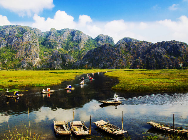🌿 Van Long Wetland Nature Reserve – The “Hidden Bay” of Ninh Binh 🌿