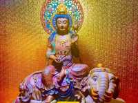 Castle Peak Monastery (Tsing Shan Monastery) – A Spiritual Escape Above the City