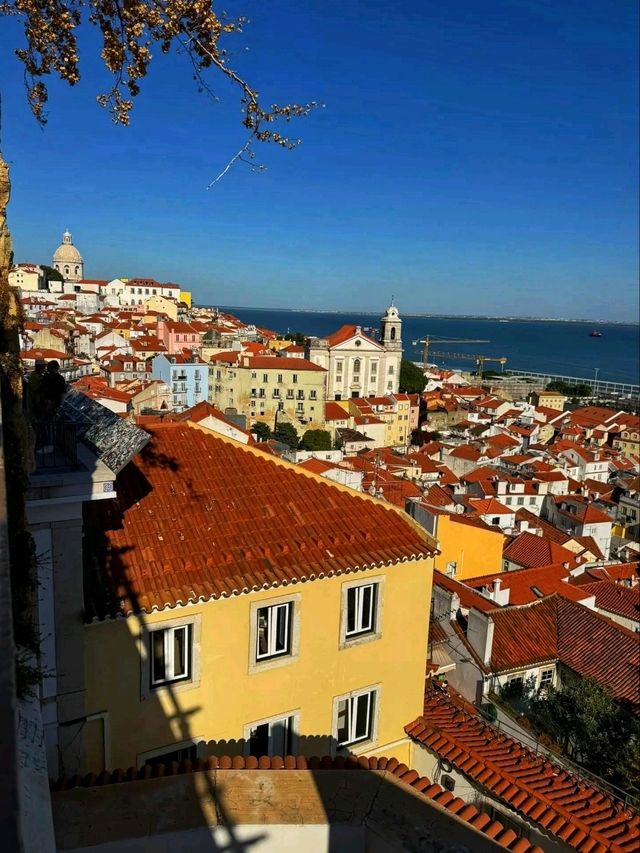 🏰Guarding the City from Above – São Jorge Castle, Lisbon