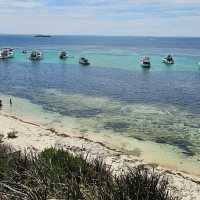 Rottnest Island Bliss
