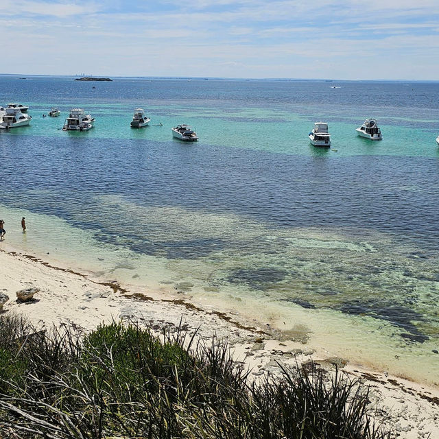 Rottnest Island Bliss