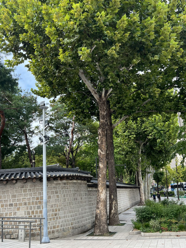 시청 앞 광장에서🌳
