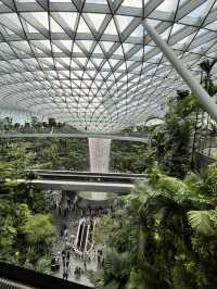 🌴シンガポールの空港で味わう癒しと美味しいアイス🍨|Jewel Changi Airport