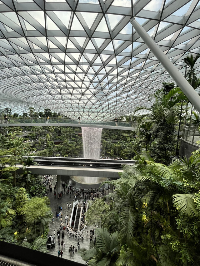 🌴シンガポールの空港で味わう癒しと美味しいアイス🍨|Jewel Changi Airport 🌴シンガポールの空港で味わう癒しと美味しいアイス🍨|Jewel Changi Airport