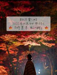 2000本の木々が色付く🍁修善寺 虹の郷🍁