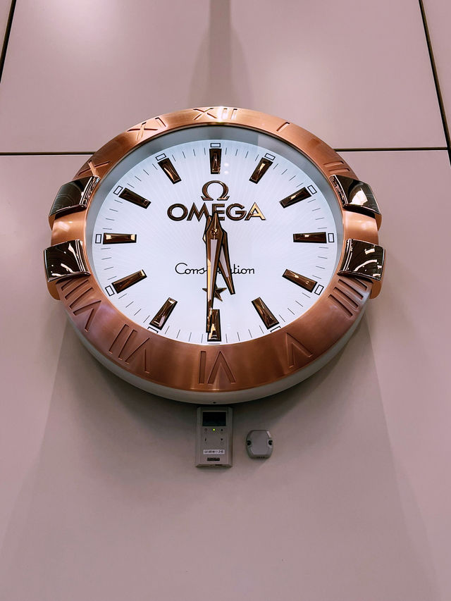 Changi Airport: World-Class Haven of Greenery and Comfort Changi Airport: World-Class Haven of Greenery and Comfort