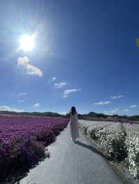 Best autumn escapes near Seoul-Nari Park in Yangju