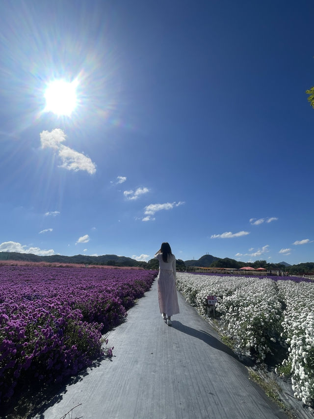 Best autumn escapes near Seoul-Nari Park in Yangju