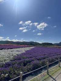 Best autumn escapes near Seoul-Nari Park in Yangju