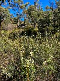 🌄 Kalamunda National Park – Nature’s Hidden Retreat Near Perth