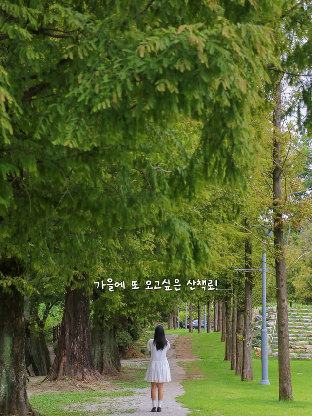  전주의 숨겨진 피크닉 스팟, 이런 순교성지는 어때요? 