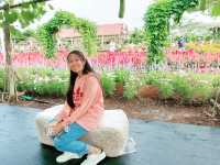 งานเมล็ดพันธุ์ บริษัทศรแดง